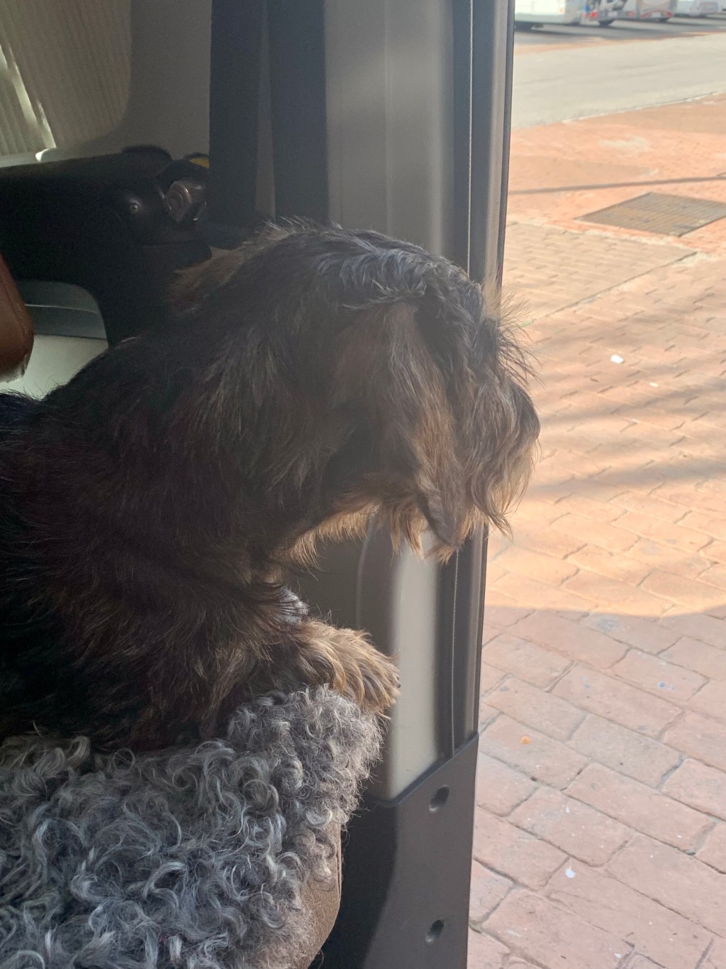 2023-02-22 vardag i Spanien?