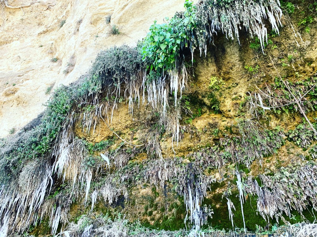 2023-03-03 ta in, tvätt, marknad, tapas&nbsp;😋