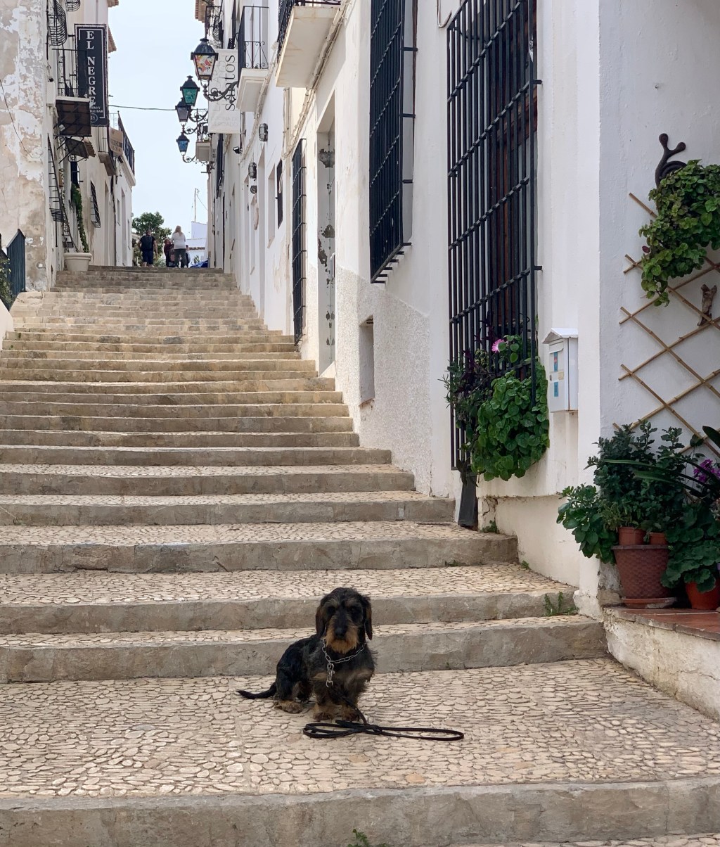 2023-03-09 Altea, där hade jag gärna bosatt&nbsp;mig