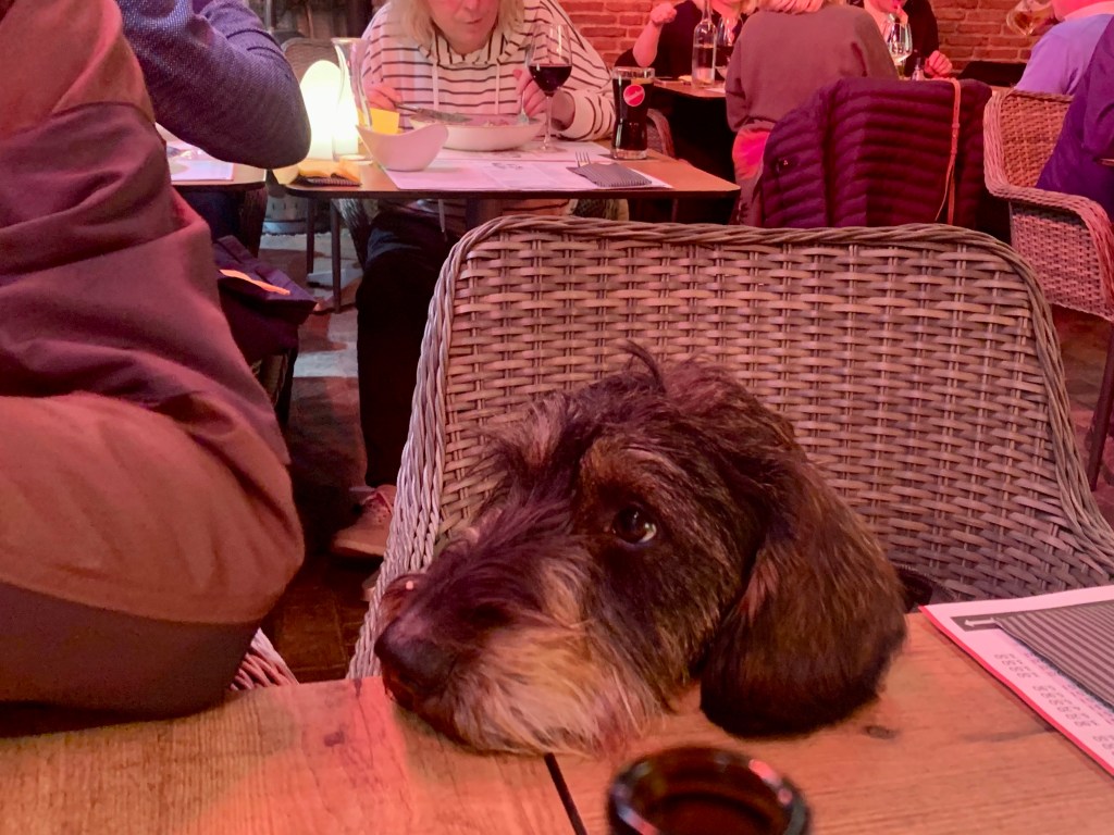 2023-03-25 regn, regn å ännu mer regn&nbsp;🌧