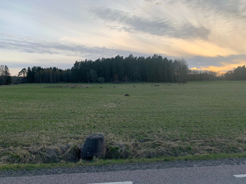 2023-04-30 Valborg, G frissan,&nbsp;Stenbrottet