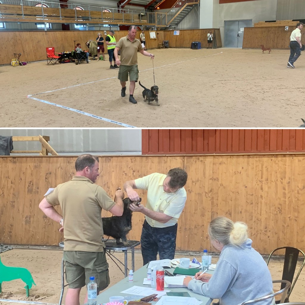 2023-06-11 nytt försök på att ställa ut G, fira eller&nbsp;inte?