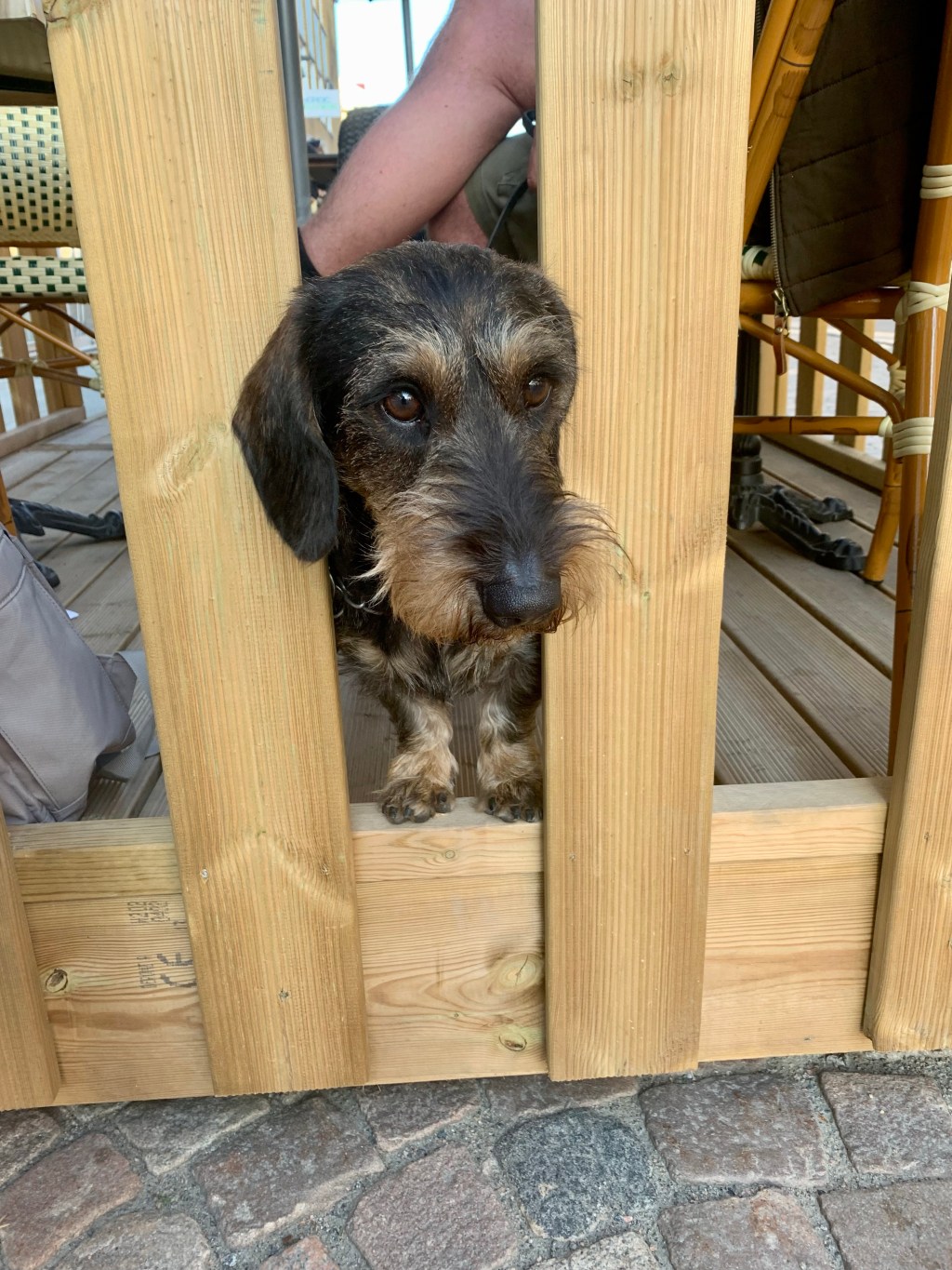 2023-06-10 äntligen ut,&nbsp;Alingsås