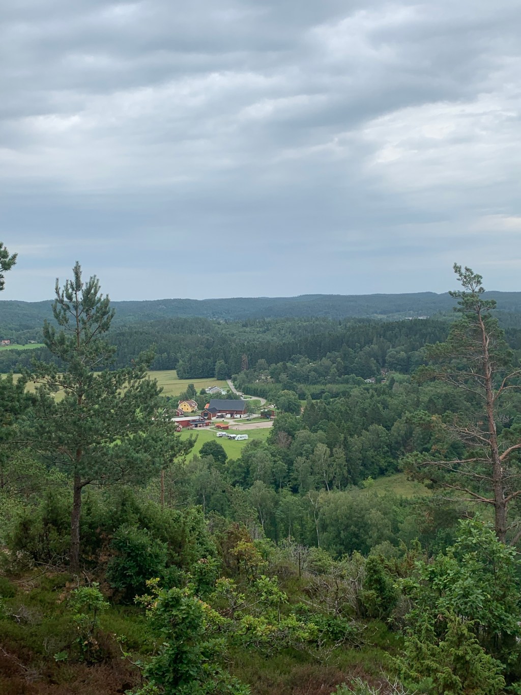 2023-07-15 letar svamp, cobben,&nbsp;häng