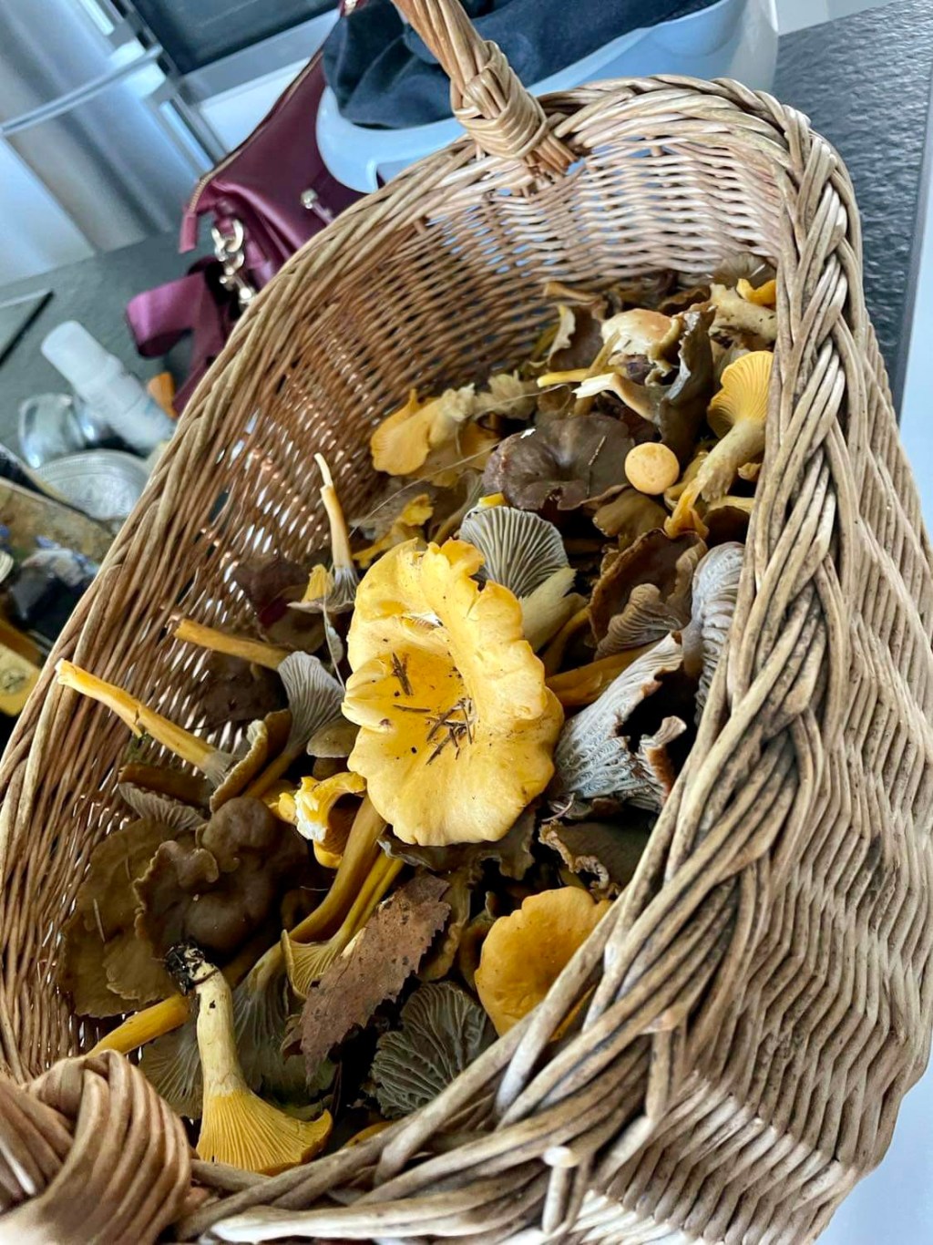 2023-10-01 second hand, svamp, jaktpremiär