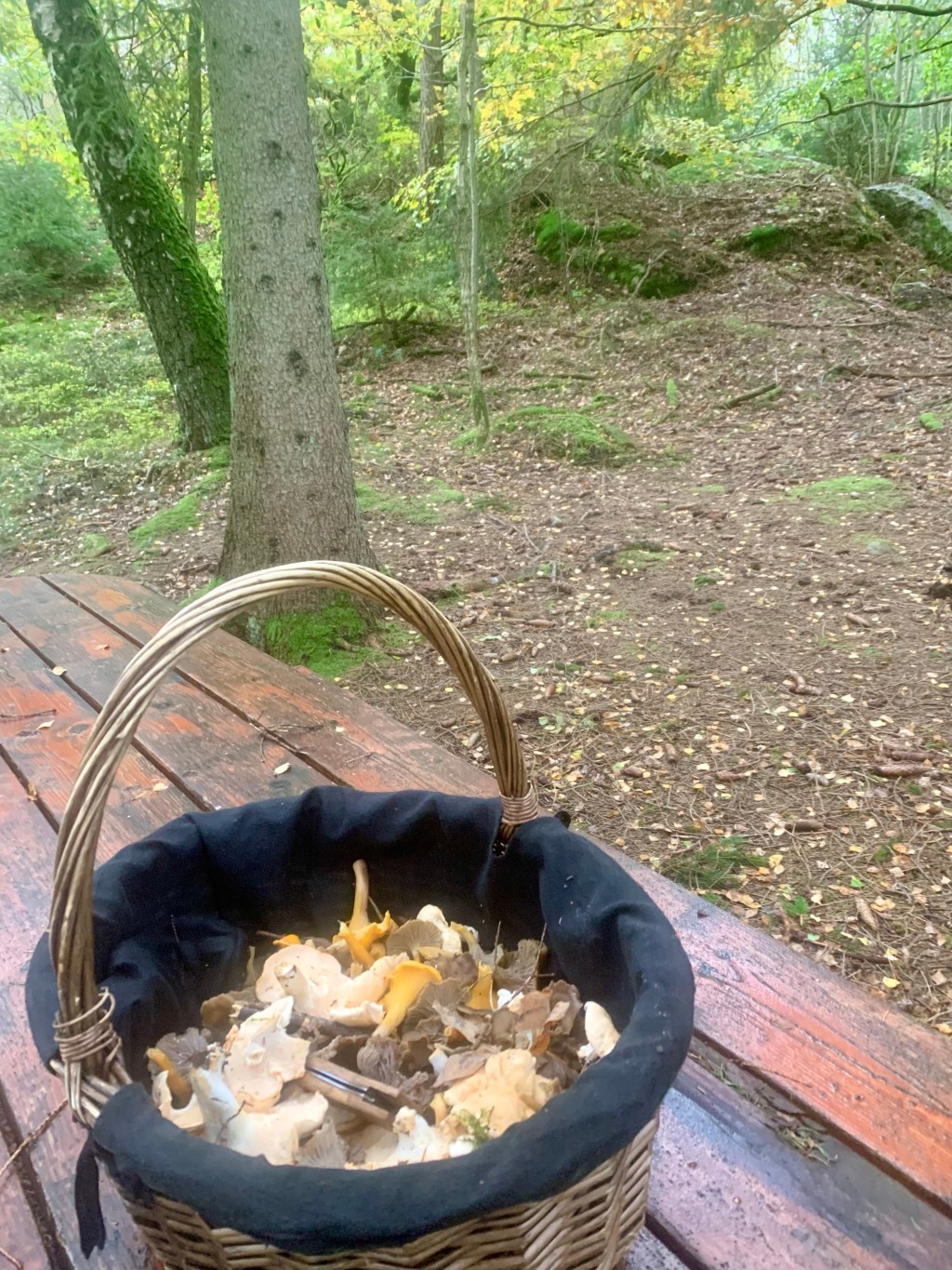 Vecka 43 2023: barnbarnsmys, svamp, date med maken, bakat bröd, surdeg