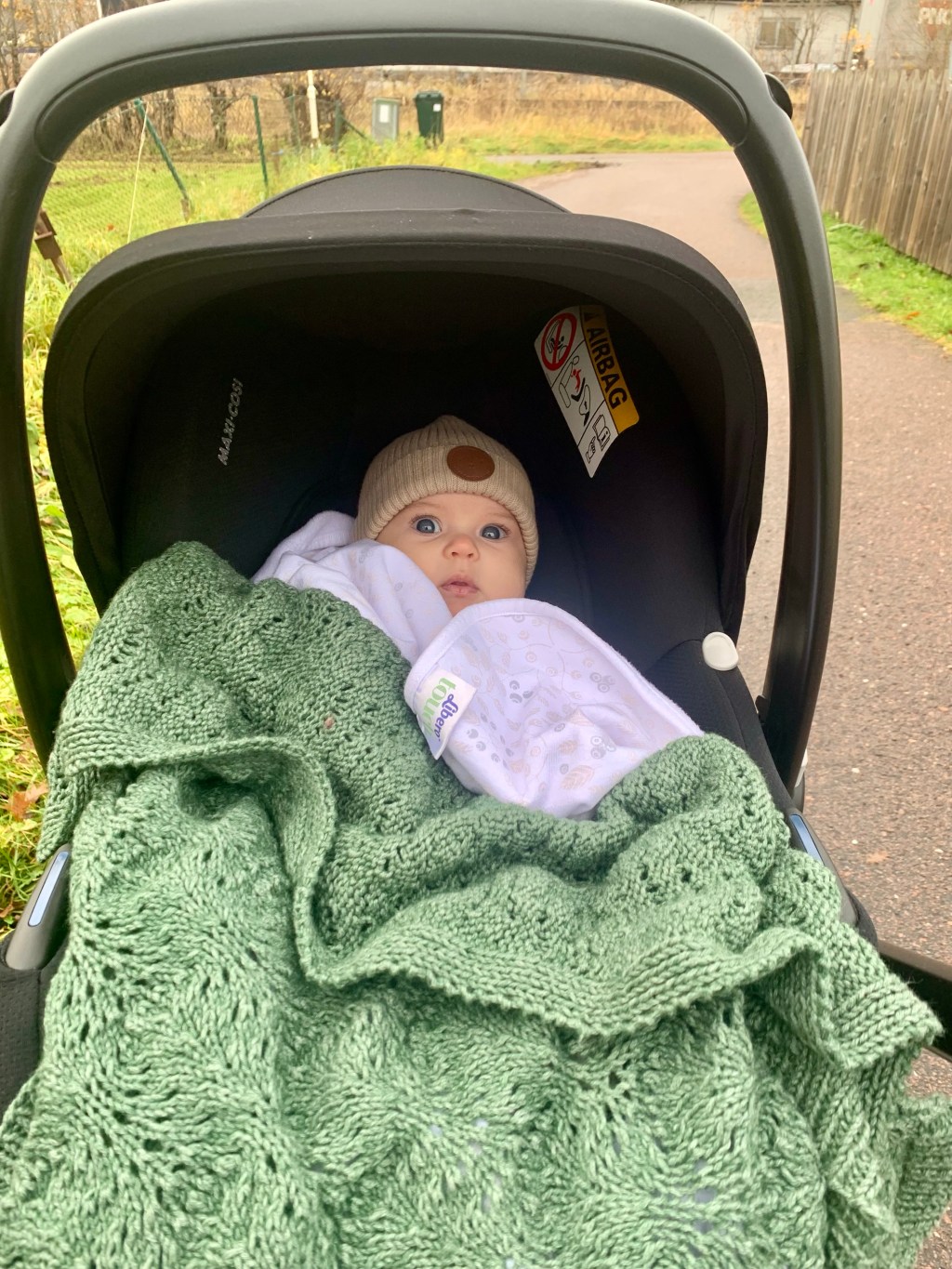 Vecka 45 2023: viktökning, surdeg, fin besök, gekås