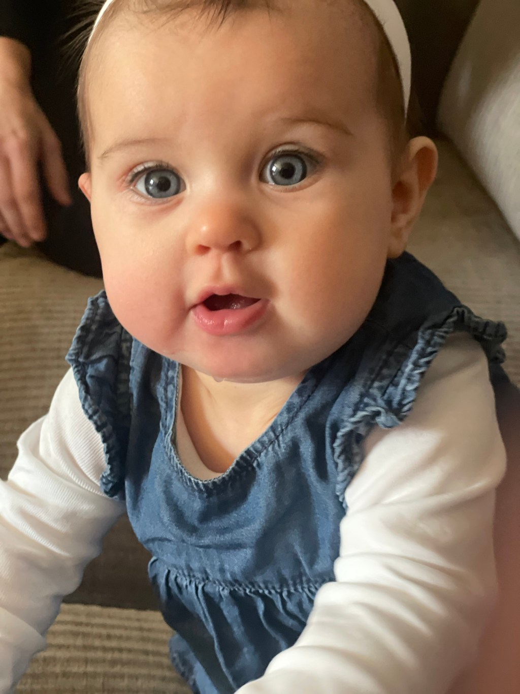 Vecka 10 2024: vår? Lågkolhydratskost, Nato,&nbsp;Vera