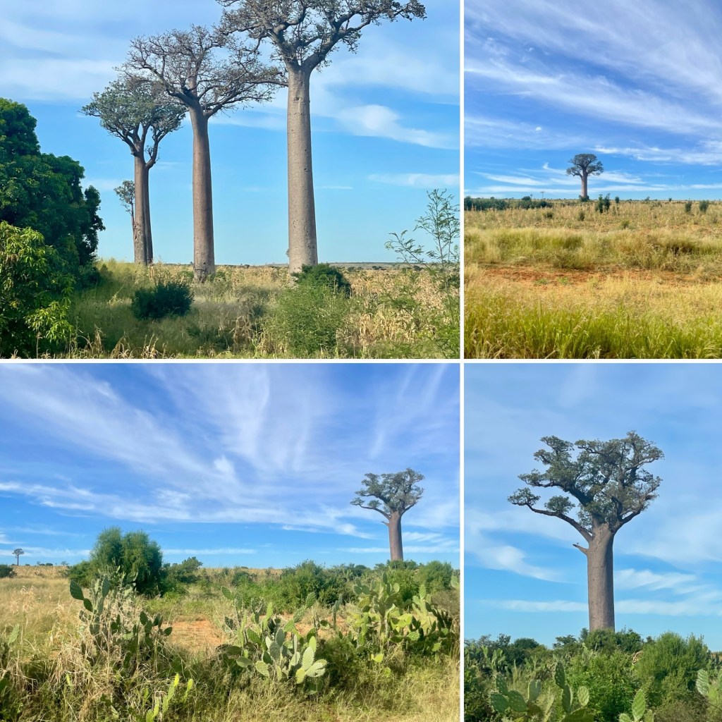 2024-04-08 bao-bao, västkusten, paradis, magisk&nbsp;solnedgång