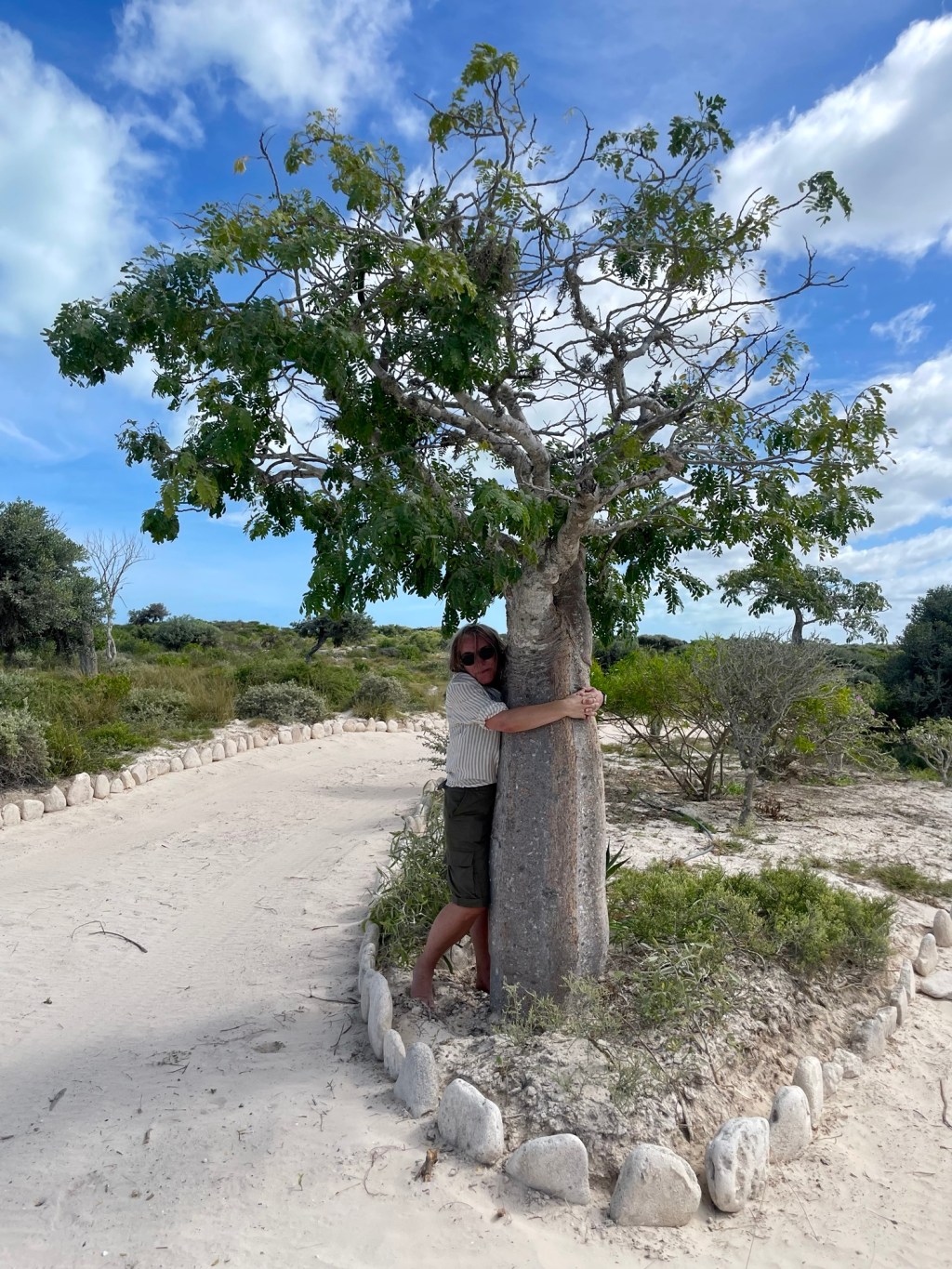2023-04-10: blåsigt, strand och buchwalk, sola, sova middag,&nbsp;rödbränd