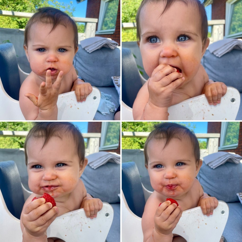 Vecka 26 2024: jobbvecka, barnbarnsmys, förlovning igen, massa gott å äta, skadat&nbsp;mig