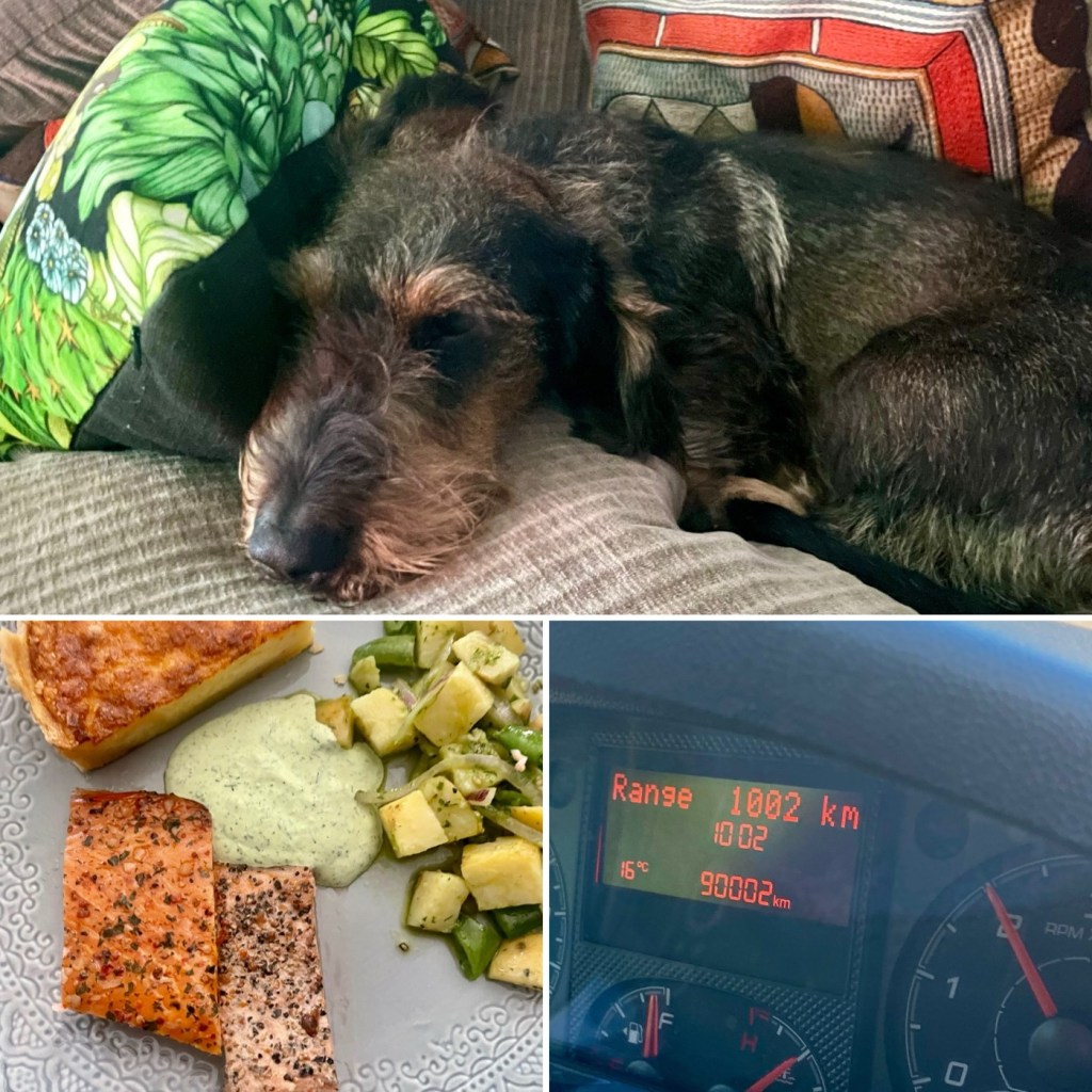 2024-06-20: fika i Helsingborg, 9000 mil, Laxbutiken,&nbsp;hemkomst