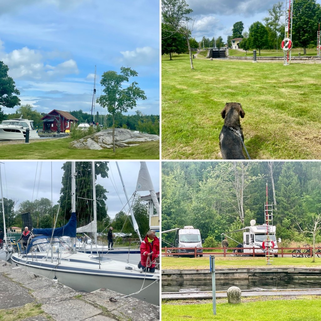 2024-07-06: Forsvik, regnskurar