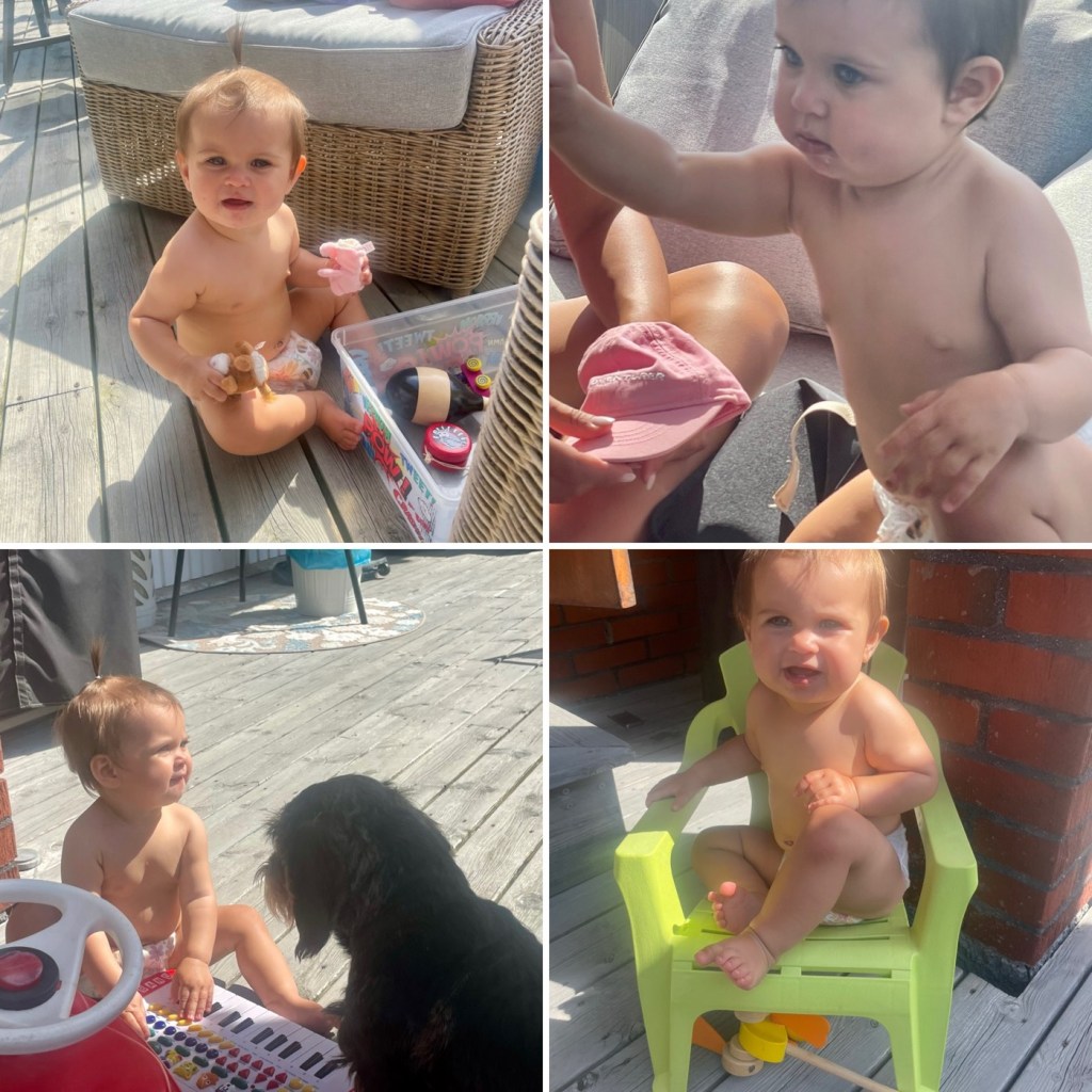 Vecka 32 å 33 2024: Vera, Mugworts, Englunden