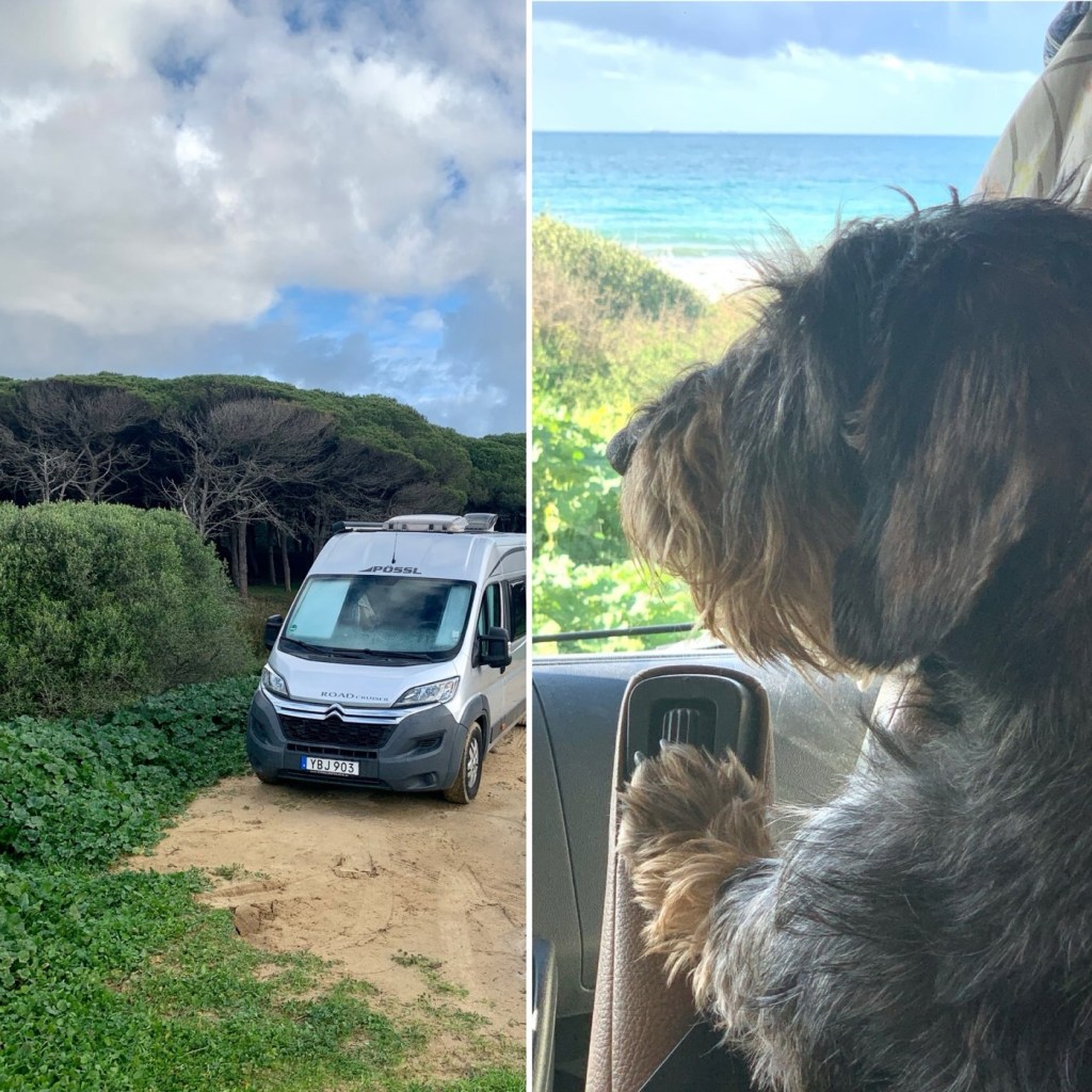 2023-02-26 bästa fricampingplatsen: Los Lances&nbsp;beach