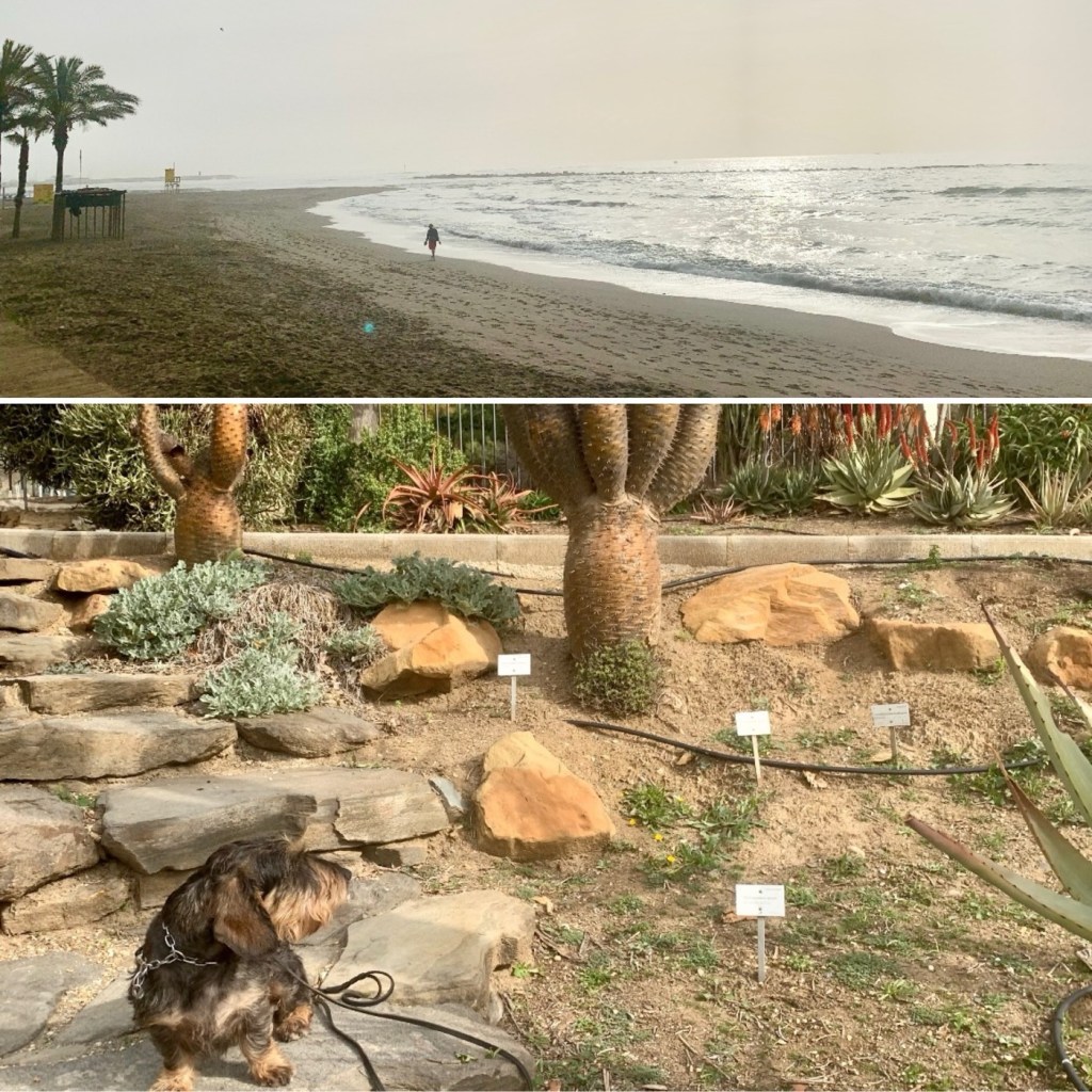 2023-02-20 äntligen 20 grader ☀️ dubbelövernattning