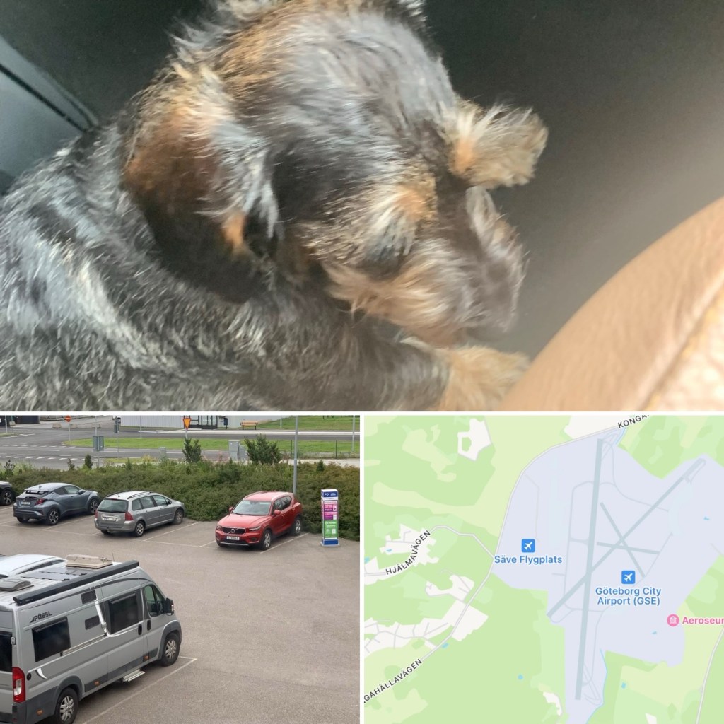 2023-08-12 50 års kalas, släppt&nbsp;handbromsen