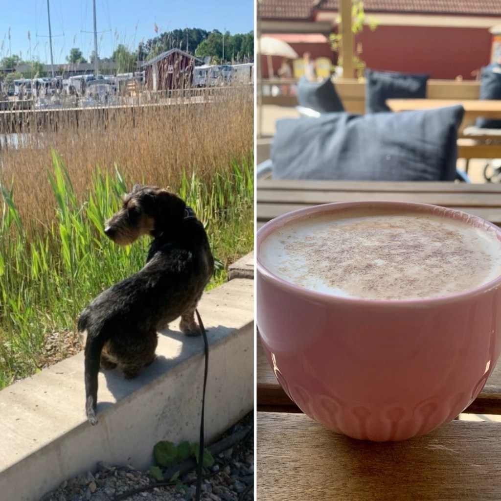 2023-05-20 sååå gött med sol å&nbsp;värme