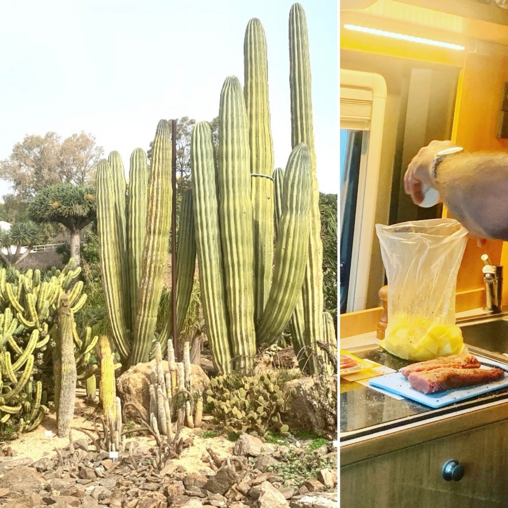 2023-02-19 Benalmadena