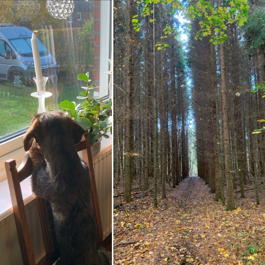 2022-10-14 avställning 😢