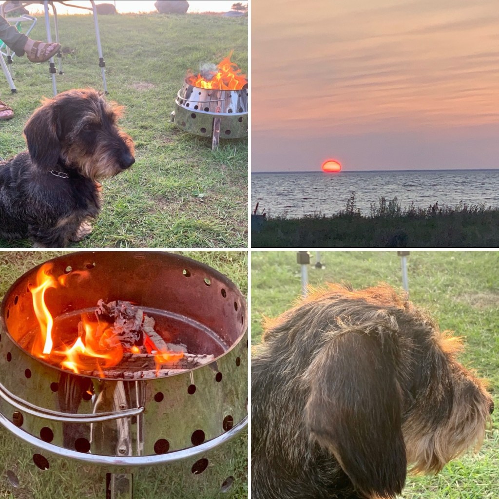 2023-08-21 camping, underbart väder, Kicklas, cobben,&nbsp;brasa