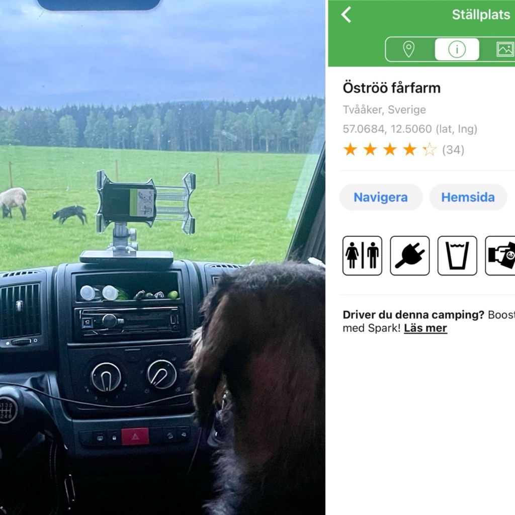 Vecka 19 Kristiflygare 2024: långhelg med plåten, Österöö, Gekås, Grimsholmen Sp,&nbsp;Varberg