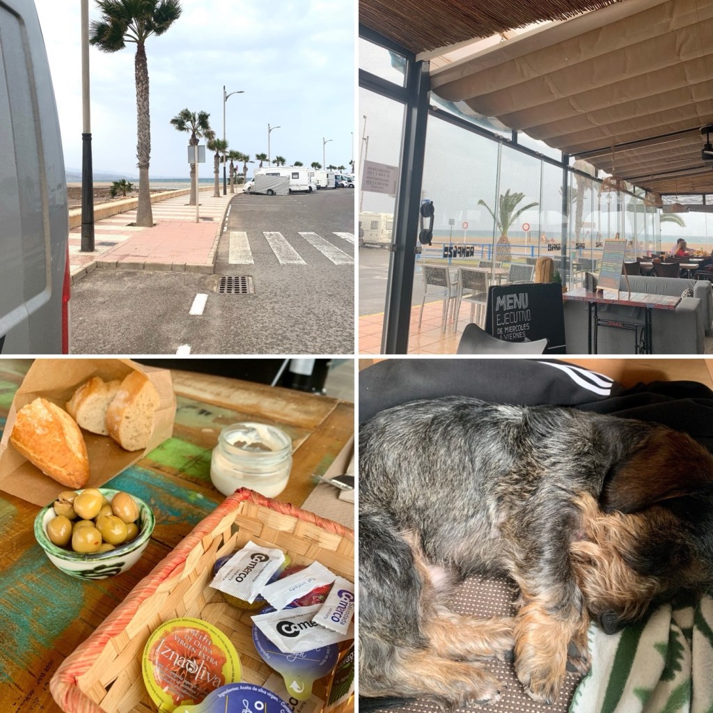 2023-02-17 Raquetas del Mar