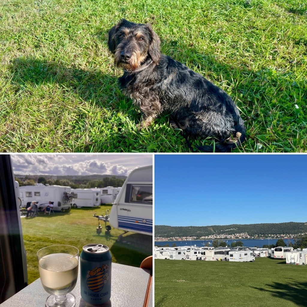 2024-09-13: mot Elmia