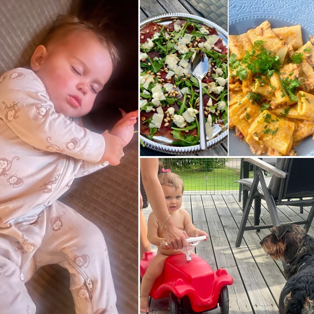 Vecka 36 2024: stekhäll å familje häng med bästa&nbsp;Vera.